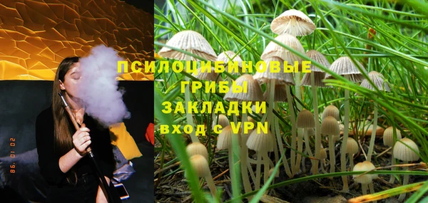 не бодяженный Володарск