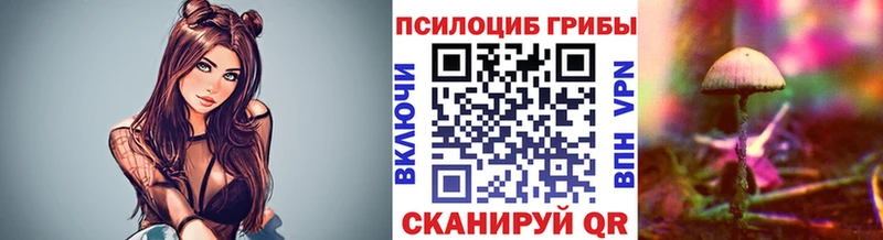где купить   MEGA ТОР  Псилоцибиновые грибы Cubensis  Евпатория 